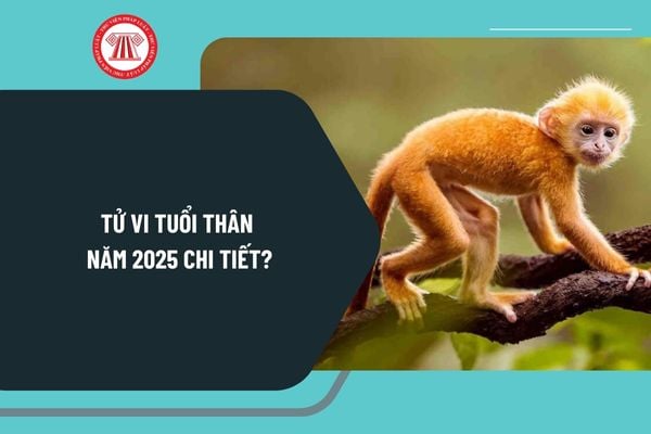 Tử vi tuổi Thân 2025 chi tiết? Tổng quan Tử vi tuổi Thân năm 2025 ra sao? Tử vi 2025 tuổi Thân theo từng năm sinh?