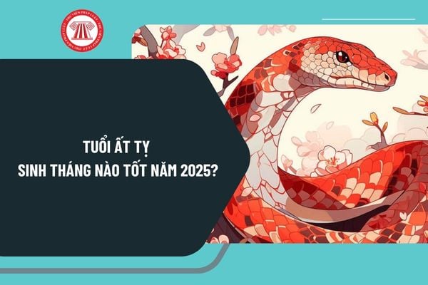 Tuổi ất Tỵ sinh tháng nào tốt năm 2025? Sinh con năm 2025 mùa nào tốt? Sinh con năm 2025 tháng nào được mùa sinh?