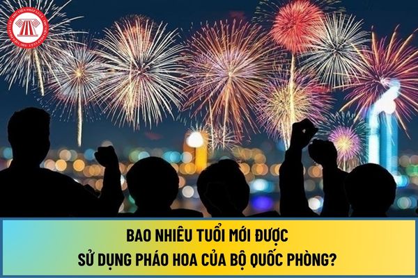 Bao nhiêu tuổi mới được sử dụng pháo hoa của Bộ Quốc phòng? Được sử dụng pháo hoa trong các trường hợp nào?