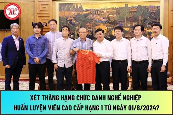 Tiêu chuẩn, điều kiện xét thăng hạng chức danh nghề nghiệp Huấn luyện viên cao cấp hạng 1 từ ngày 01/8/2024 như thế nào?