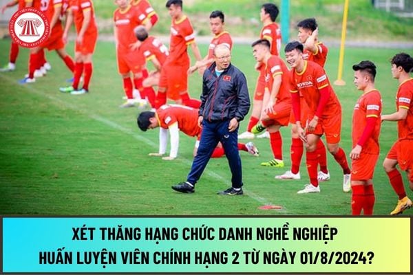 Tiêu chuẩn, điều kiện xét thăng hạng chức danh nghề nghiệp huấn luyện viên chính hạng 2 mới nhất 2024 là gì?