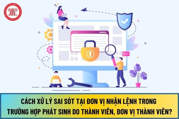 Cách xử lý sai sót tại đơn vị nhận lệnh trong trường hợp phát sinh do thành viên, đơn vị thành viên từ 15/8/2024 ra sao?