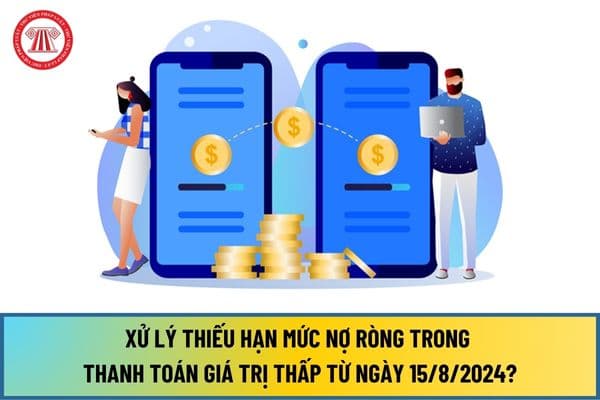 Thực hiện xử lý thiếu hạn mức nợ ròng trong thanh toán giá trị thấp từ ngày 15/8/2024 như thế nào?