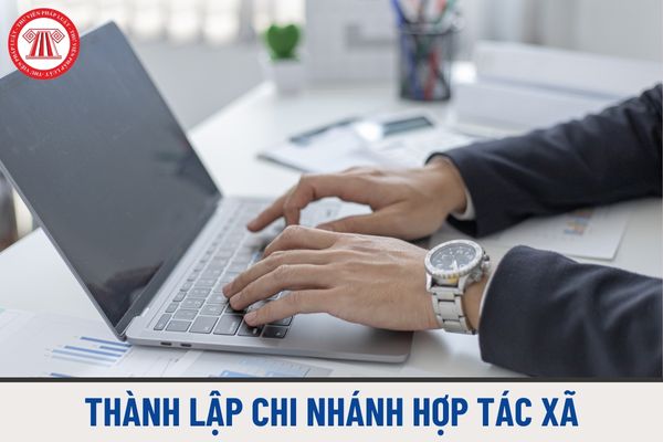 Chi nhánh hợp tác xã