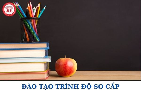 Đào tạo sơ cấp