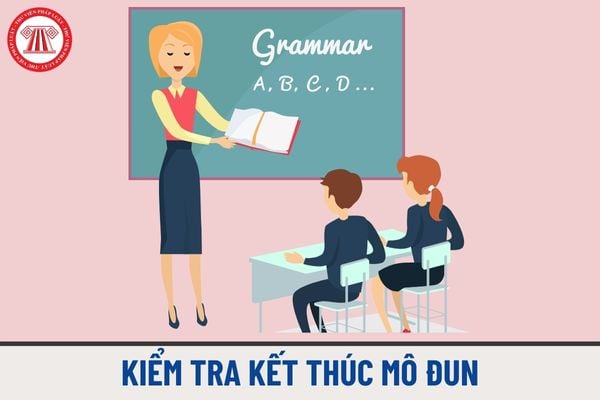 Đào tạo sơ cấp