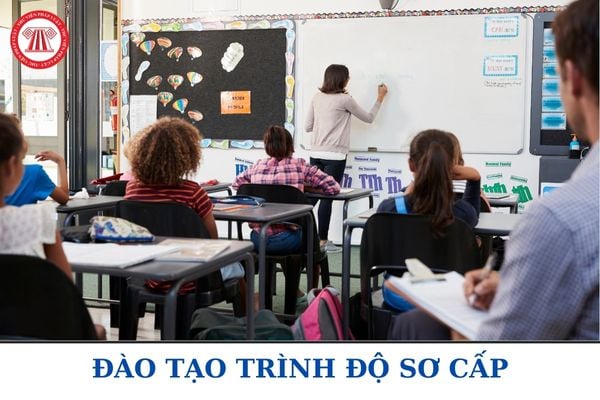 Đào tạo sơ cấp