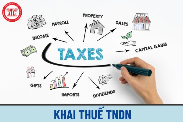 Thuế TNDN
