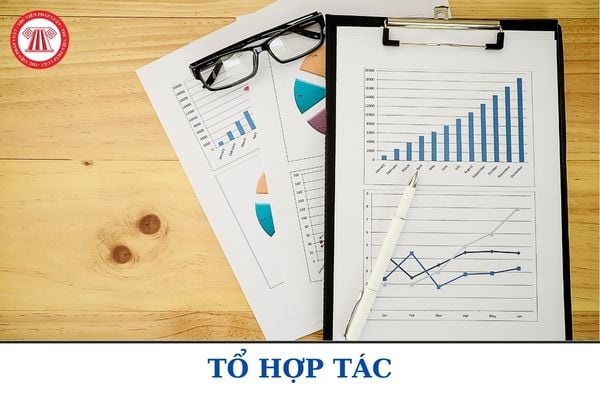 Mẫu báo cáo về tình hình hoạt động của tổ hợp tác mới nhất? Tổ hợp tác phải gửi báo cáo tình hình hoạt động trước ngày bao nhiêu?