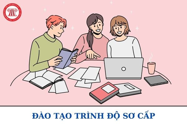 Giáo trình đào tạo trình độ sơ cấp