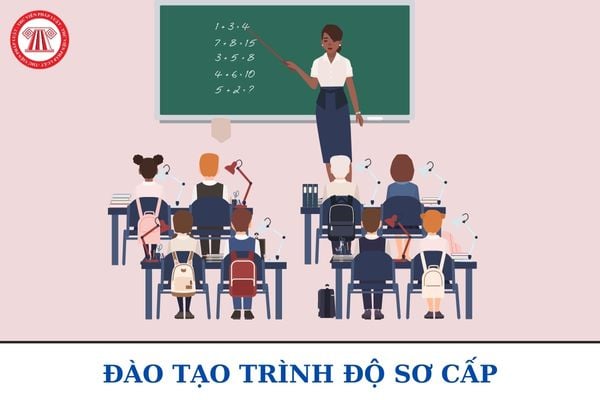 Giáo trình đào tạo