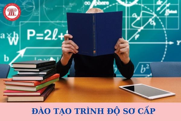 Chương trình đào tạo sơ cấp