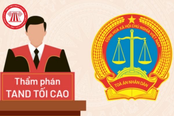Pháp luật