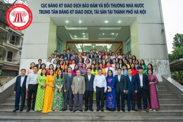 Pháp luật