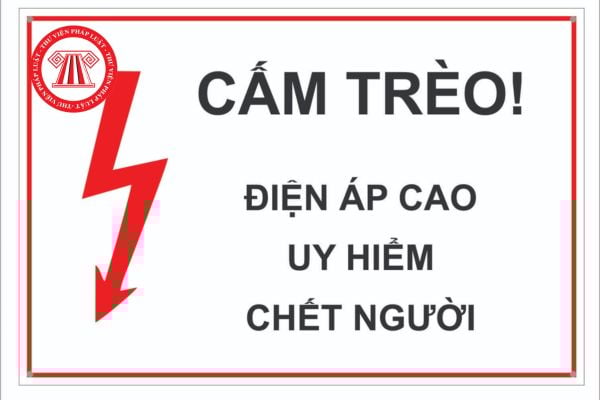 Pháp luật