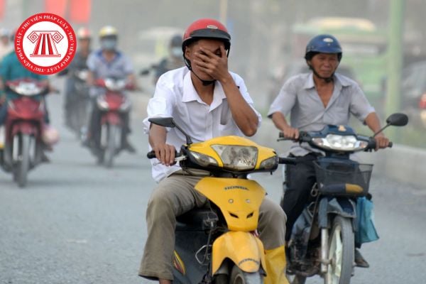 Pháp luật