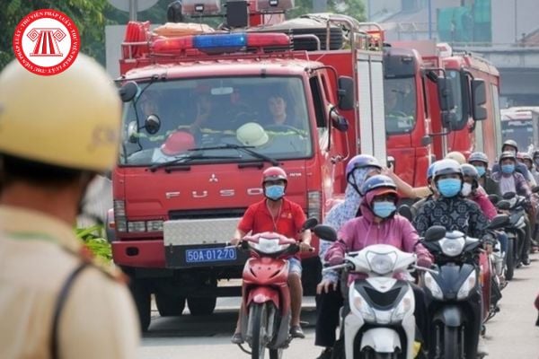 Pháp luật