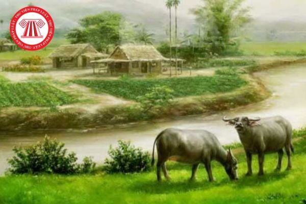 Mẫu viết đoạn văn 4 đến 5 câu nói về cảnh thanh bình ở quê em? Học sinh lớp 5 cần đạt yêu cầu về viết đoạn văn như thế nào?