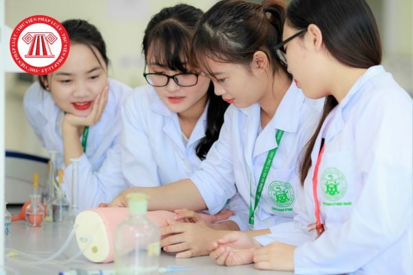 Pháp luật