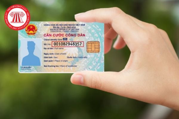 Pháp luật