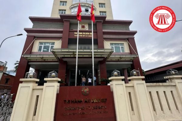 Pháp luật