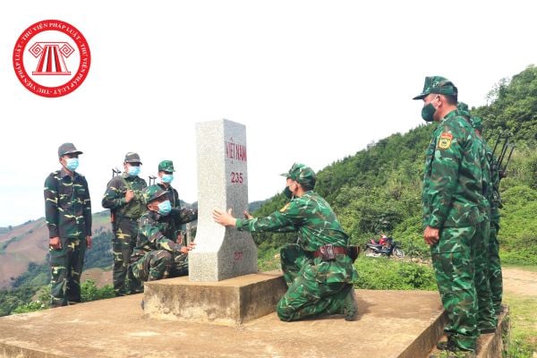 Pháp luật