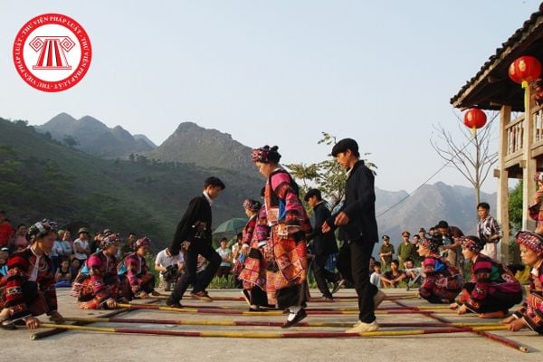 Pháp luật