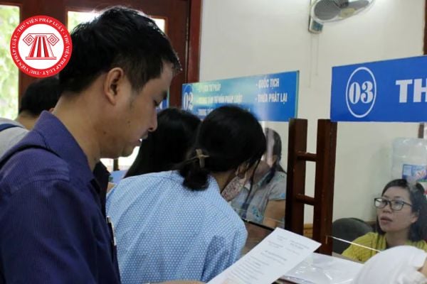 Pháp luật