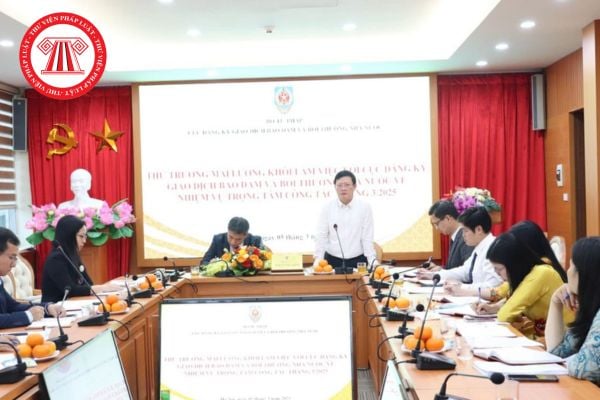 Pháp luật