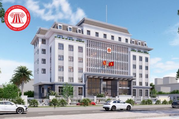 Pháp luật