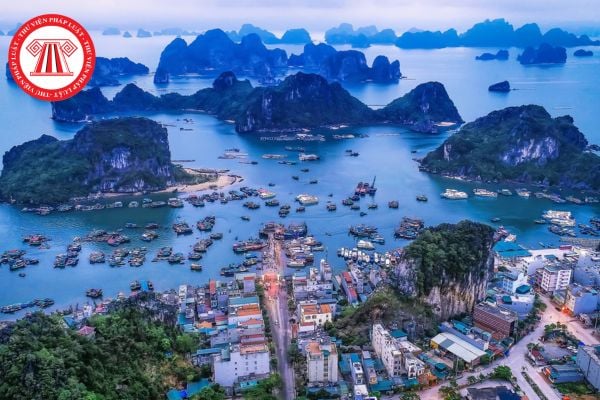 Pháp luật