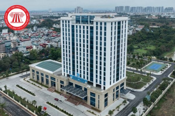 Pháp luật