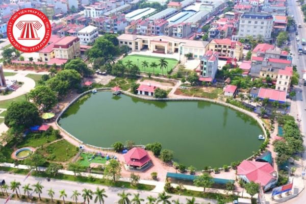 Pháp luật