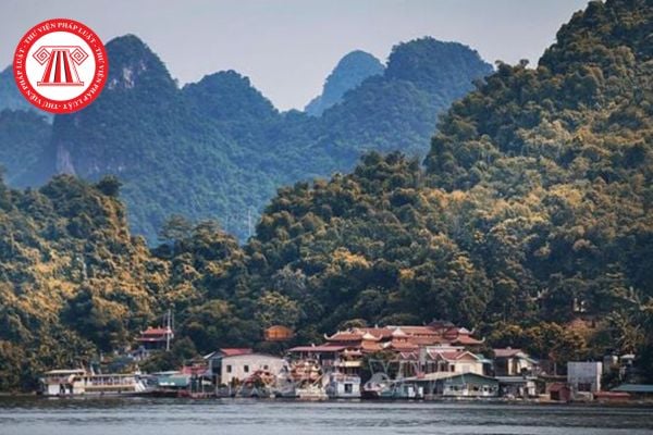 Pháp luật