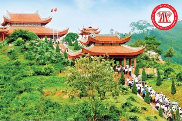 Pháp luật