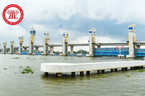 Pháp luật