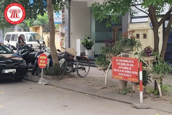 Pháp luật