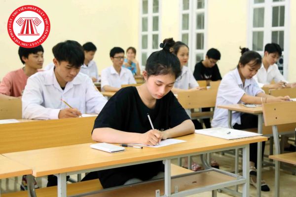 Pháp luật