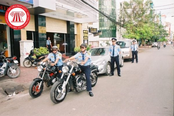 Pháp luật