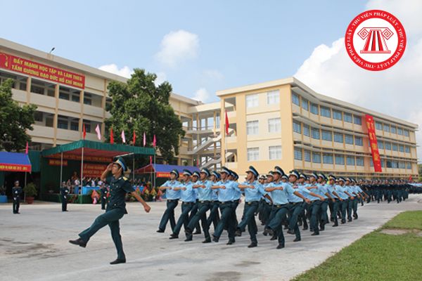 Pháp luật