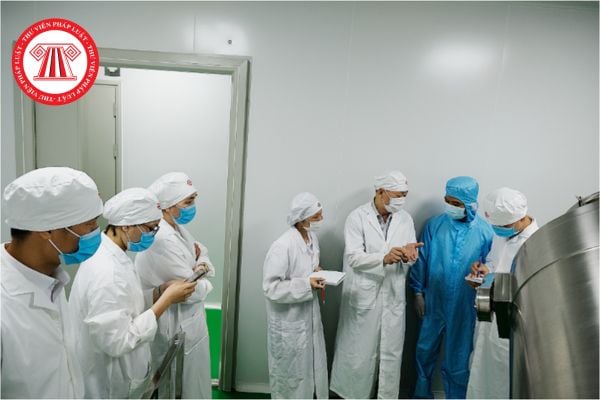 Pháp luật