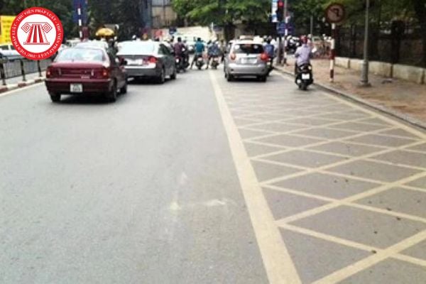 Pháp luật