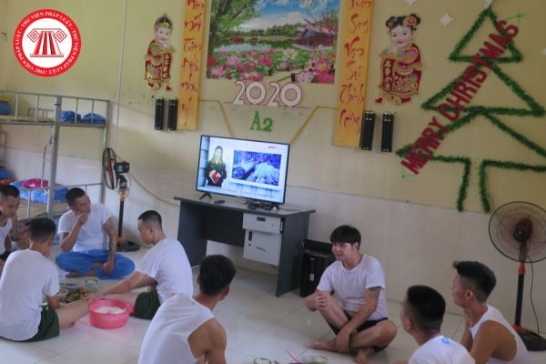 Pháp luật