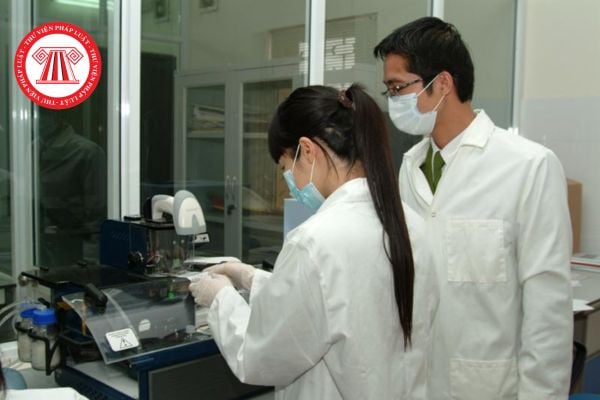 Pháp luật