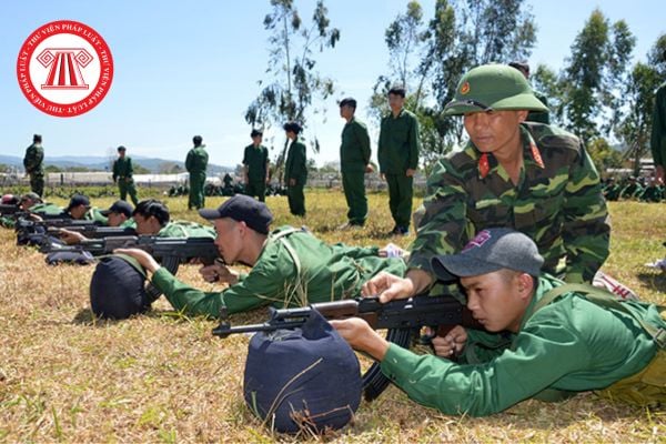 Pháp luật