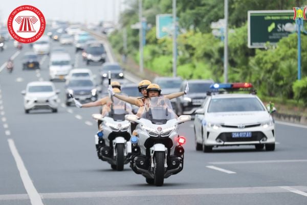 Pháp luật
