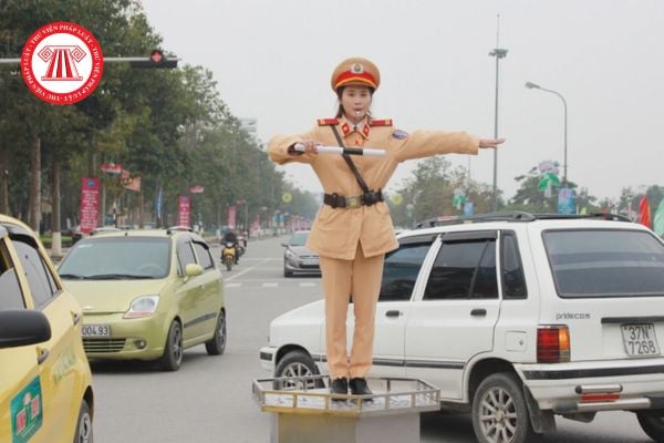 Pháp luật