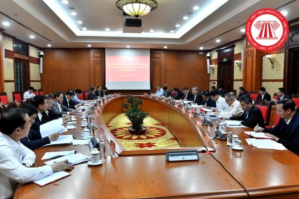 Pháp luật
