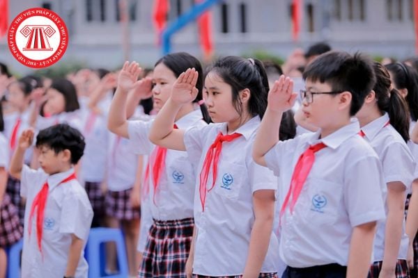 Pháp luật
