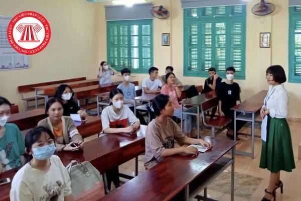 Pháp luật